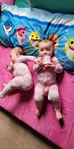 Creating Beautiful Butterflies with Identical Twins