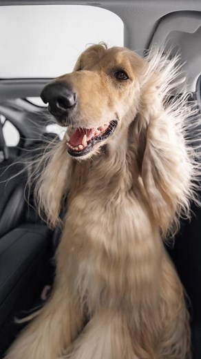 81K views · 905 reactions | More than 138 years ago, we invented the...