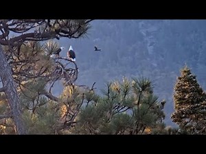 October 2 morning in the valley FOBBV CAM Big Bear Bald Eagle Live Nest - Cam 1 / Wide View - Cam 2