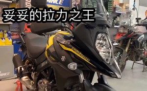 妥妥的拉力之王，铃木DL650细节解读