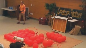 Dog Breaks World Record For Popping Balloons