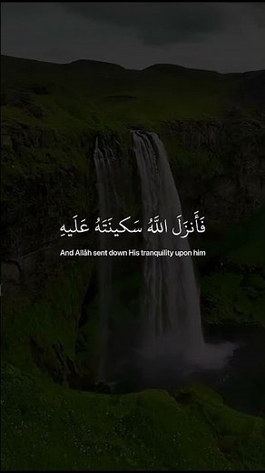 تلاوة جميلة جداً تريح القلب بصوت القارئ عبد الرحمن مسعد ❤️😴 || لا تحزن ان الله معنا