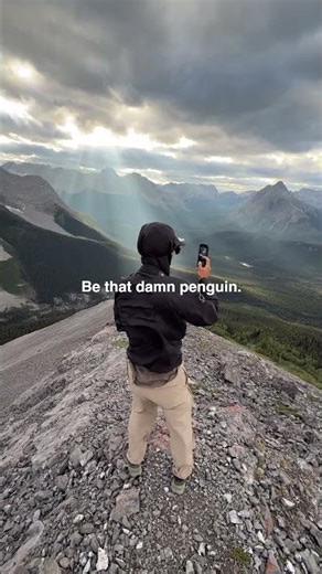 Sei der Pinguin.