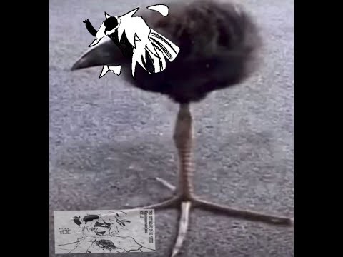 ROTTEN EGG COOKIE WHAT DID YOU DO