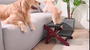 MEWANG Giant Wooden Pet Stairs/Pet Steps - 2-in-1 Foldable 3 Levels Gentle Dog Stairs & Ramp for Beds and Cars - Easy Climb Pet Step Stool - Portable Dog/Cat Ladder Up to 150 Pounds(Brown)