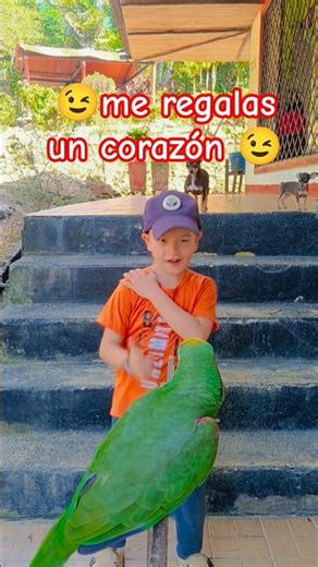 😉Give me a heart 😉#humor #comedy #parrot