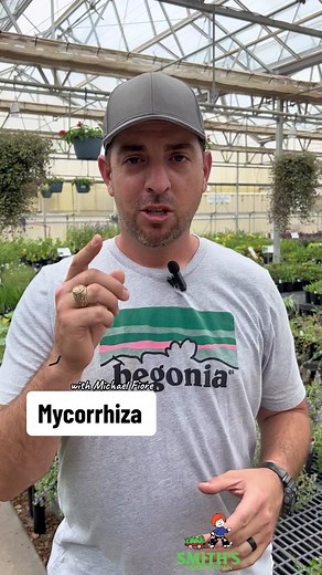 Mycorrhiza is like plants' ultimate BFF, teaming up with them to share nutrients and help each other grow.🌱#smithsgardentown #mycorrhiza #gardening101 #gardeninghack #beneficialmicrobes #soilhealth #gardening #didyouknow #growersoftiktok