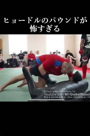 ヒョードルのパウンドの強さと格闘技の魅力