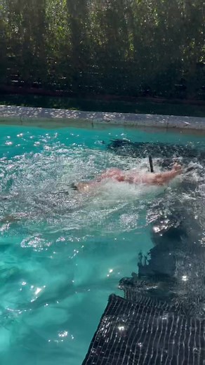 I swim tether daily. 40 min swim burns 1000 calories. Best. Workout. Of. All. Time. Get fit in no time!!