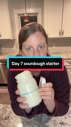 Day 7 of Sourdough Starter: Progress and Tips
