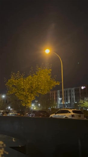 🩷🩷@# | Nature of America