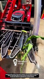 Mechanized Corn Intake and Feeding Process Using Chain Conveyor Systems in Harvesting