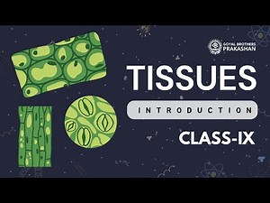 Tissues | Class 9 | Science | NCERT | Goyal Brothers Prakashan