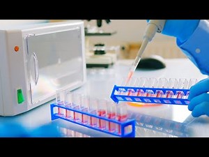 Nanoscience Series: Making DNA Origami with Xing Wang