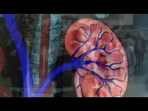 Santé - Surveillez vos reins !