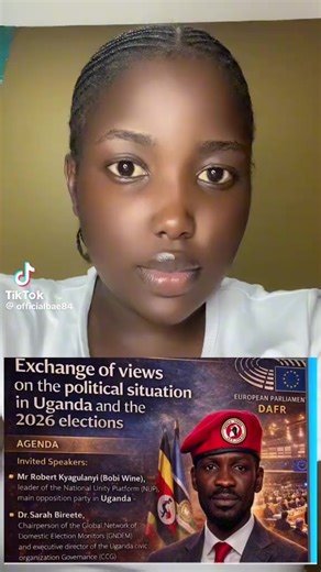 Timber wolves 🦭 (@nelson.nelson543)’s videos with original sound - Timber wolves 🦭