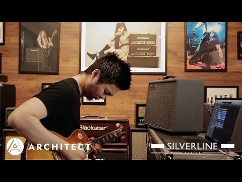 Silverline Standard & Architect Software | Blackstar