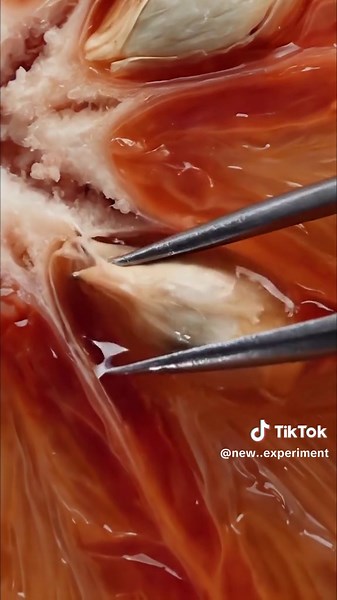 Satisfying ASMR micro zoom ✨ #asmr #fyp #usa