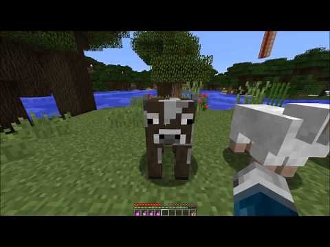 Minecraft - Aggressive Animals in one command block!
