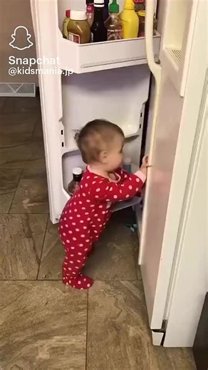 Curious Toddler Exploring the Refrigerator