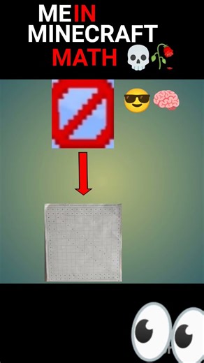 Me in minecraft math🧠
