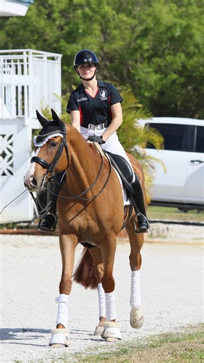 1.5K views · 117 reactions | Day 1 of the 2026 USDF Trainers Conference featuring Heike Kemmer and Cristof Umbach! | Dressage Today | Facebook