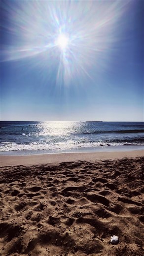 edollo_store (@edolloshop)’s videos with Pythia - Amanati