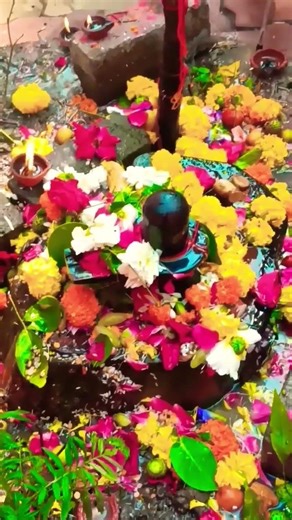 He Shambhu baba mere🙏🌺🌿 bholenath #shortvideo #bhakti #music #trending song #viralshort #shorts #fyy