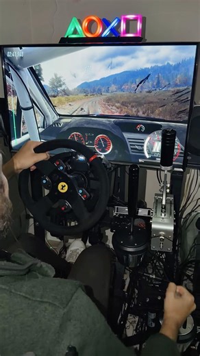 Rally from the cockpit view 🤯 INSANE REALISM #dirtrally2 #simracing #ps5 #thrustmaster