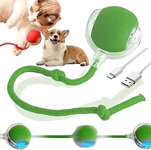 Peppy Pet Interactive Rolling Ball for Dogs & Cats - Upgraded Electric Self-Moving Toys (Green)