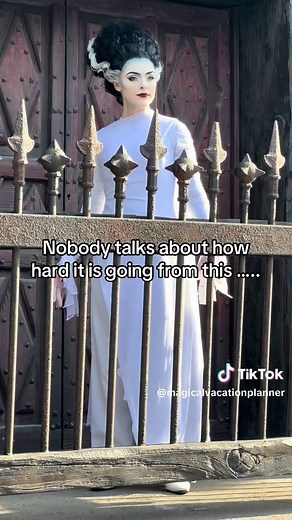 Magical Vacation Planner on TikTok