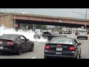 EPIC Burnout Shelby GT500 Super Snake // Diesel Truck Pulled Over // Sick Burnout Mustang Cobra !!!