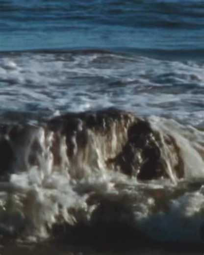 2.9K views · 32 reactions | Colección Made in USA. Cuidado por los detalles.✨  + info aquí: https://newbalance.com.co/pages/made | New Balance | Facebook