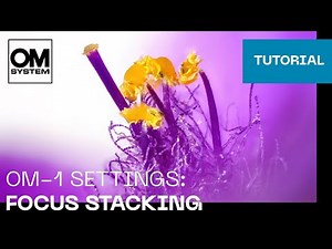 OM-1 & OM-1 Mark II Settings: Focus stacking