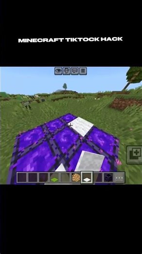 minecraft tiktock hack #minecraft #memes #minecraftshorts