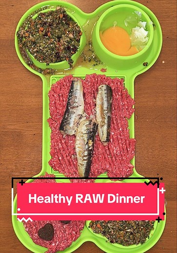 Healthy Homemade RAW Dog Food for Rylie | Dr. Harvey's