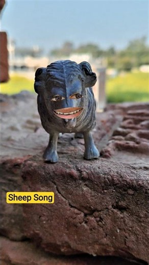 Sheep Song 🤣 #shortvideos #sheep #animals #wildlife #comedy #funnysong