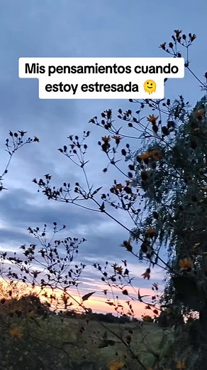 Humor sobre el Estrés Diario