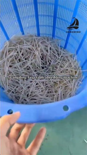 Vegetable shredder #machine #vegetables