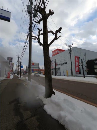 Street Story #Shorts