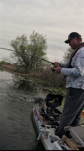 Bucketmouths Love The Wacky #autopilot #bassangle#largemouthbass #wacky #kayakfishing#senko