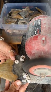 1.9K views · 6.3K reactions | Doing a little inventory refresh & cleaning up some brilliant golds to bring to the Shark Tooth Festival in Venice this weekend! 麗 | Meg Goddess Designs | Facebook