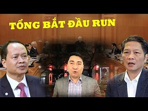Để những "tội phạm" trị dân. Tổng cũng mắc tội!
