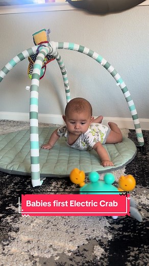 5 Month Old Baby Enjoying Tummy Time with Electric Walking Crab