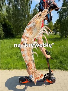 Hulajnoga elektryczna dla wysokiej osoby?!🤔 Jak najbardziej, czemu nie! Hulajnogi Kamikaze wyróżniają się wysoką ustawioną kierownicą i długim podestem, więc nawet przy sporym wzroście można jeździć komfortowo😎 #hulajnogaelektryczna #escooter #patineteelectrico #electricscooter #hulajnoga