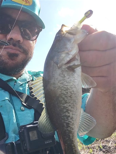 Exploring the Best Fishing Spots in Florida