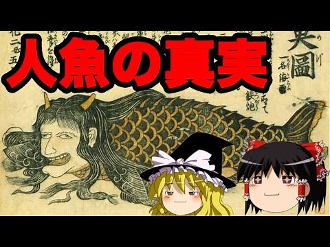 【ゆっくり解説】人魚の肉を食べて800年生きた伝説の女性？人魚の真実
