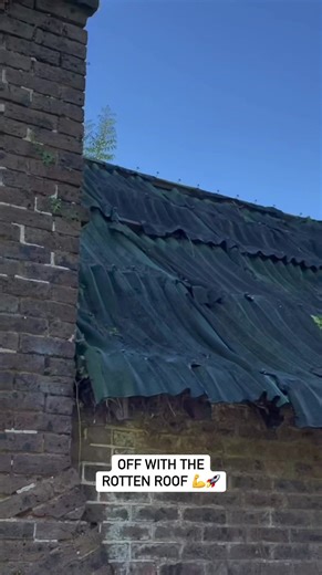 Like rotten cardboard! Bitumen impregnated fibre roofing material will sag over time unless VERY well supported. New galvanised sheets will be going on soon 😍#thepotteringshed #derelict #barn #dreamworkshop #rottenroof | Ben Kilner