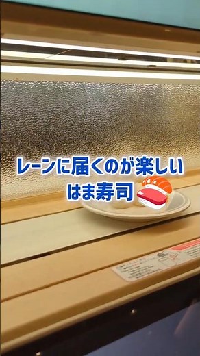 【奇跡】いつも逃すシャッターチャンス…はま寿司で次々とレーンに届くお皿の神タイミングを大成功！最後は絶品真アジを堪能 #shorts #はま寿司 #回転寿司