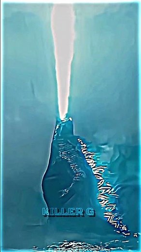 Legendary Godzilla vs Godzilla Ultima